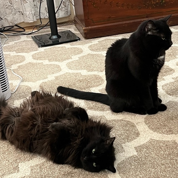 YOUR SELLER/BUYER - Picture 8 of 8